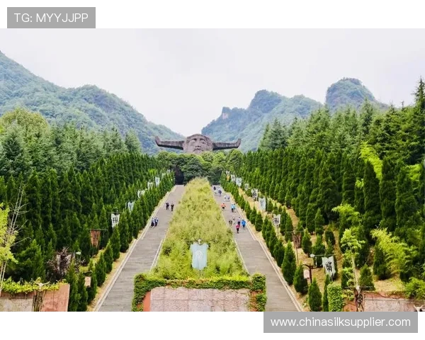 重庆排球队耐力问题引发热议球迷与专家各执己见探讨背后原因