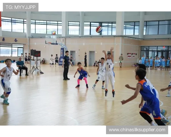 杭州篮球队在邀请赛中的团队协作表现分析与点评