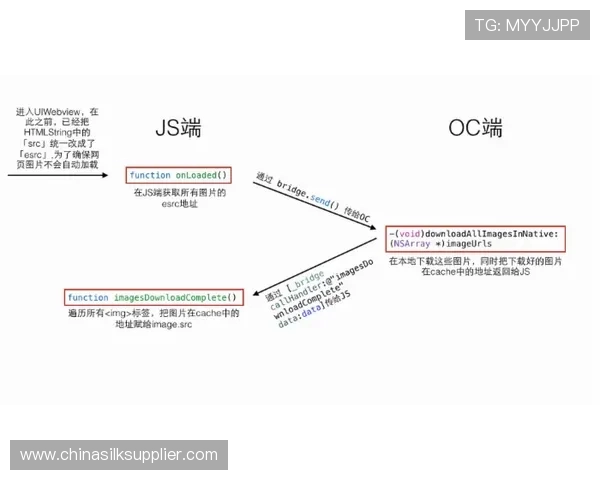 独家解析：WE意识形态的异同与影响深度分析